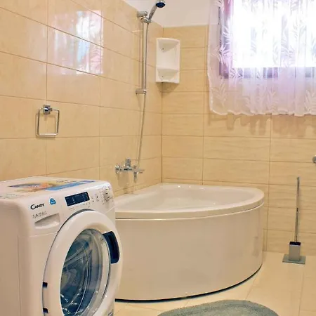 In - Istrien 41776 Apartman Sisan